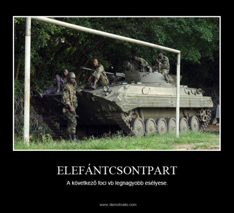 demot_elefantcsoport.jpg