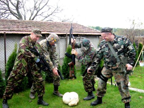 ossz_tamad.jpg